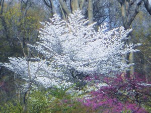 20120408195903-dscn6521