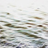 20120408204841-water___color_6
