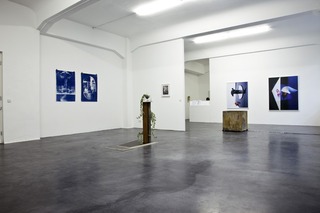 Installation View,