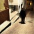 20120409165736-nachtbilder3_4