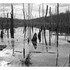 20120409190412-634_transition_photo_18x24_3