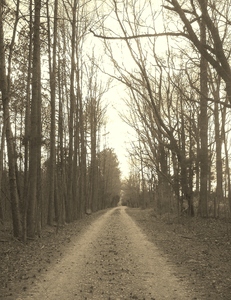 20120409203032-2012-03-07_16-31-41_750__5_1