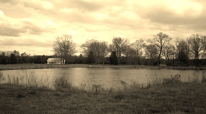 20120409203415-2012-03-07_16-30-44_787__4_