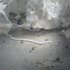 20120410033930-img_4457