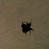 20120410095452-py-clouin-strongenough