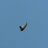20120410101353-py-clouin-lesautdanslevide