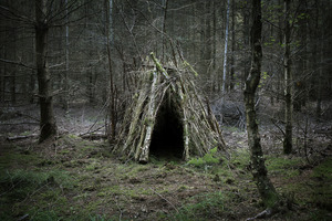 20120410144836-the_dwellings_3
