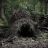 20120410145041-the_dwellings_4