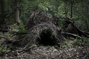20120410145041-the_dwellings_4