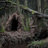 20120410145203-the_dwellings_10