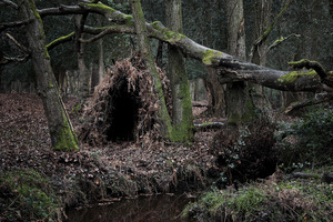 20120410145203-the_dwellings_10