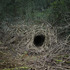 20120410145432-the_dwellings_11