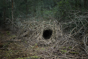 20120410145432-the_dwellings_11