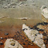 20120410154134-372_yosemite_woodcut_24x36_3