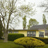 20120410161351-522_mushroomtree_pigmentprint_24x16_3