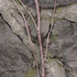 20120410161558-193_reclamation_photo_12x16