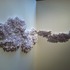 20120410215350-img_0530