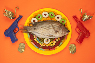 Orange Fish,Marc Horowitz