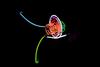 20120411003316-billy_apple_neon_sculpture_010