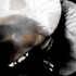 20120411153705-saat_04