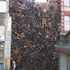 Salcedo5