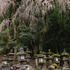 20120412053304-cemetery