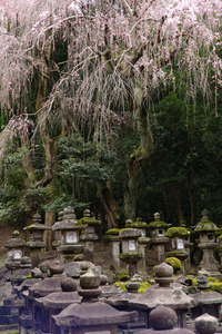20120412053304-cemetery