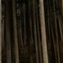 20120412053534-les