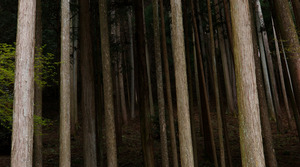 20120412053534-les