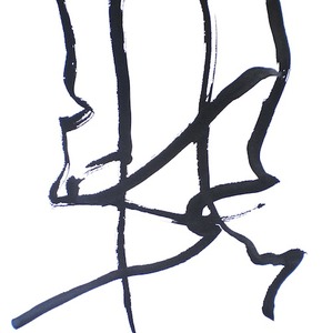 20120412163453-dscn2386-artslant