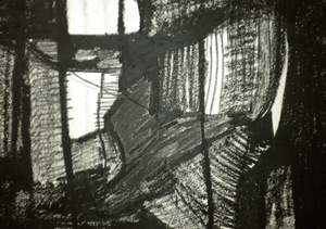 20120412164904-charcoal_3