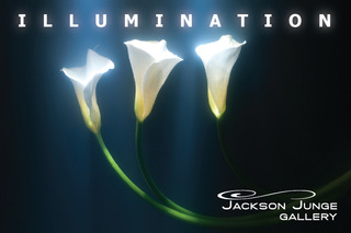 ILLUMINATION,Kavan Geary