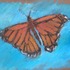 20120412172401-butterfly_03_lr
