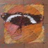 20120412172435-butterfly_04_lr