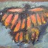 20120412172509-butterfly_05_lr