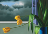 20120412181019-brucecohen