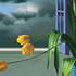 20120412181019-brucecohen