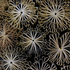 20120412202000-hovey_lrge