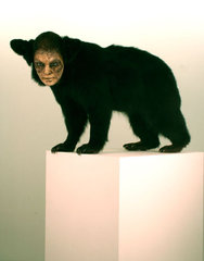 Black Bear, Untitled,Kate Clark