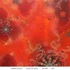 20120413004911-06__41112