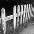 20120413014523-country_picket_fence_i_bw