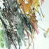 20120413155009-ellen