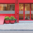 20100927073130-133-storefront2