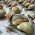 20120414011203-swenson-snails-web