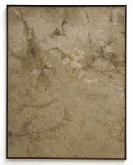 River Painting (Luther, Bielefeld)  ,davide balula
