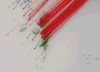 20120414142713-lsolomoninvitedetail-lg