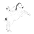 20120414162112-hest1_ny_copy