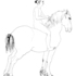 20120414162237-hest4_utsnitt_copy