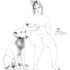 20120414162420-solvor_utsnitt_copy