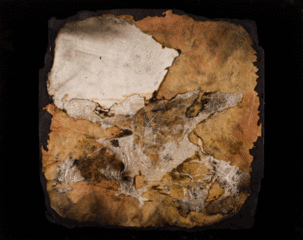 Black Field Remnants II,Shirley Cannon